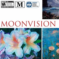moonvision (prod. zebrahaus)
