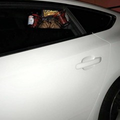 PYREX PUSHA - STILLTRVPN