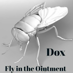 Dox - Fly In The Ointment