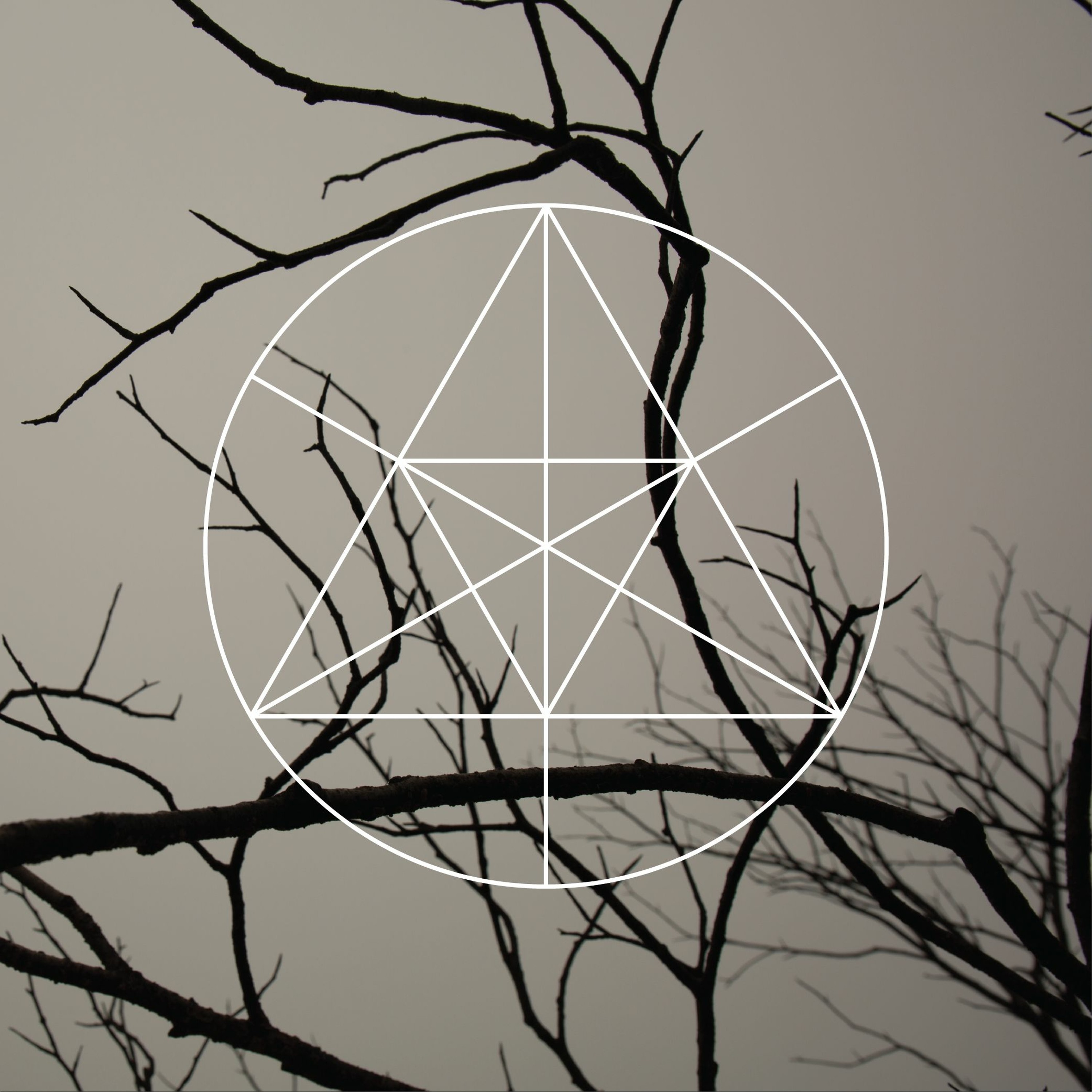 Mysteries of the Deep