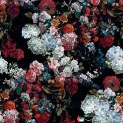 We are born to fly ( mix )