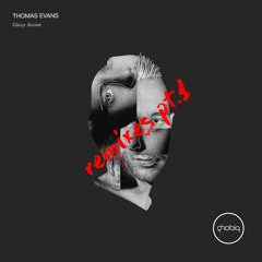 Thomas Evans - Acidatlantic (Skober Remix)