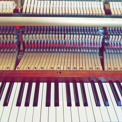 قطر الصعيد سالم الصغير