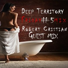 Deep Territory Friday #5 / Guest Mix by Robert Cristian