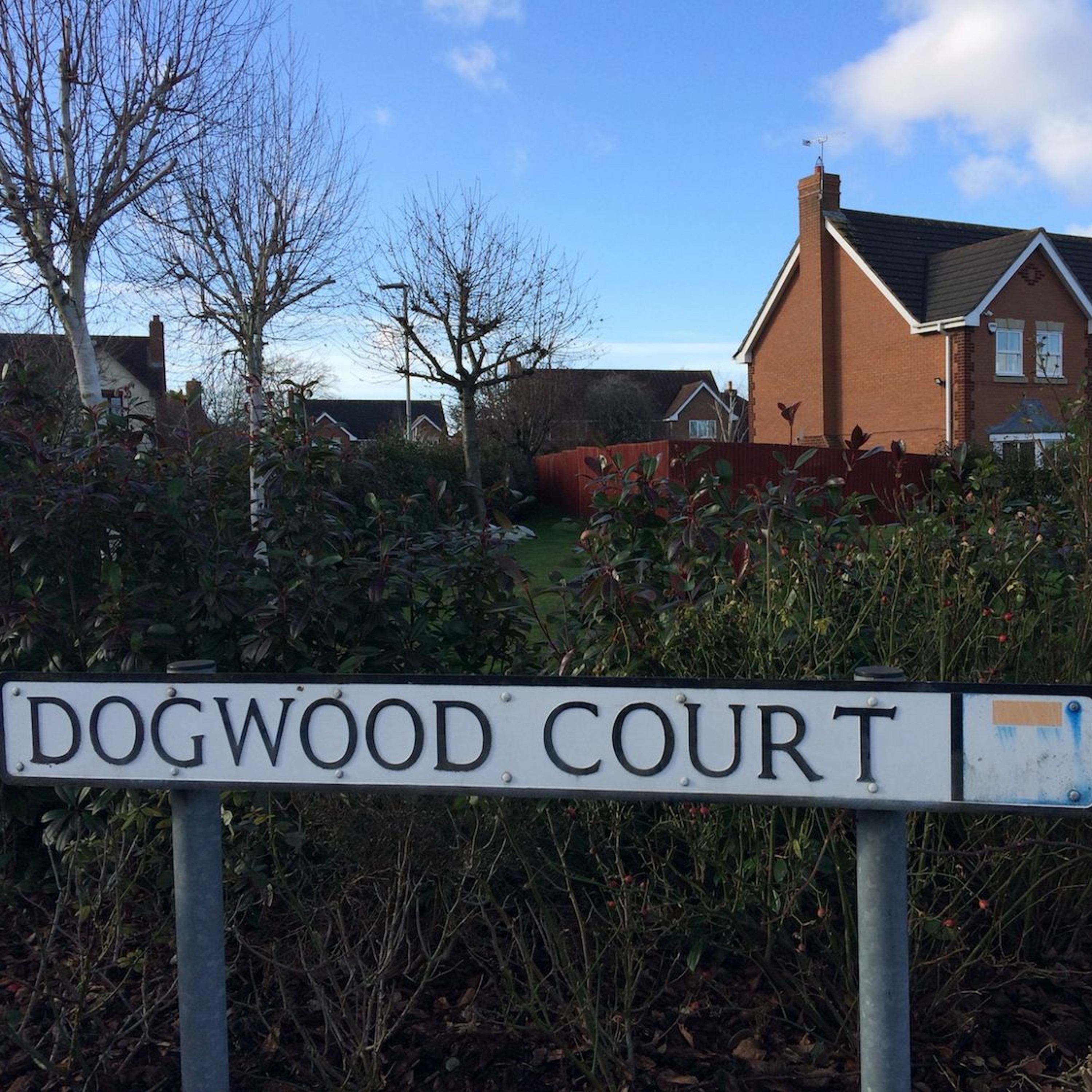 No. 13 - Top 20 Streets in Oadby - Dogwood Court