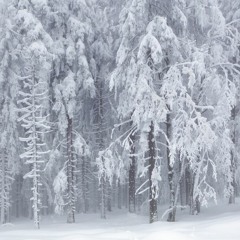 Manson Beatz feat. Maki Damage - Der Wald