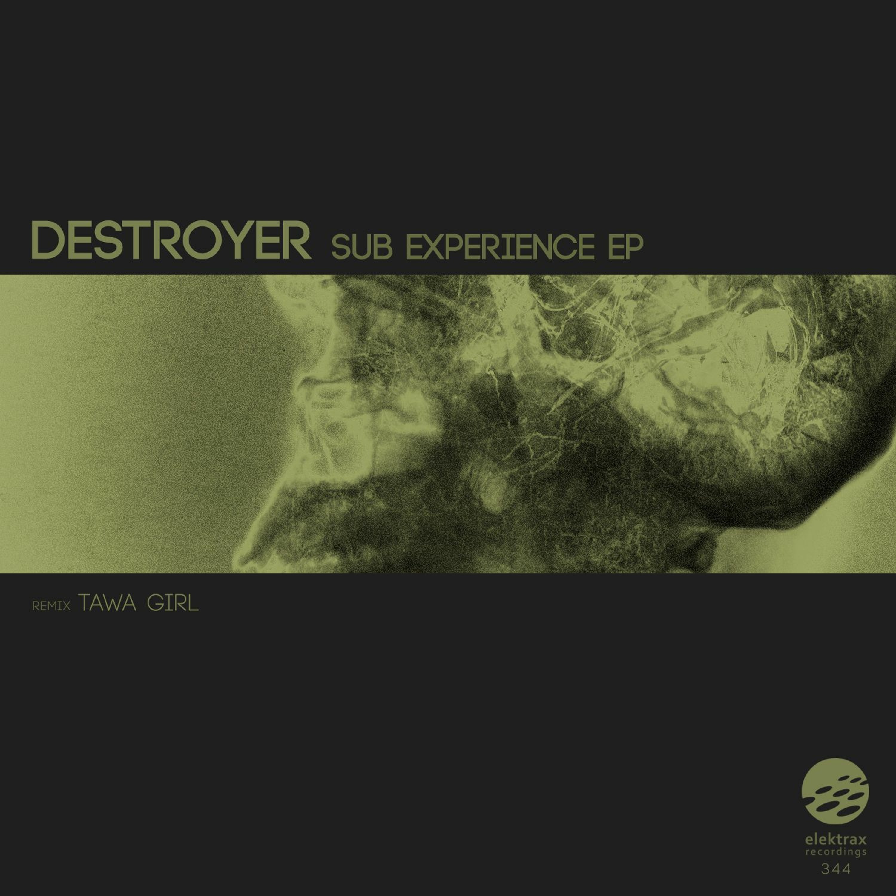 Destroyer - Sub Experience (Sub Experience EP) episode artwork