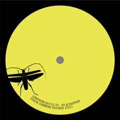 ZC012 - Acidupdub - Zodiak Prophecy
