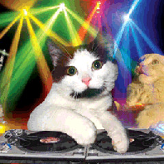 REGGAE MUSIC  MIX 2018 DJ CHRIS