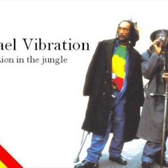 Israel Vibration - Lion in the jungle