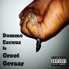 Domme Excuus Is Groot Gevaar (Instrumental)