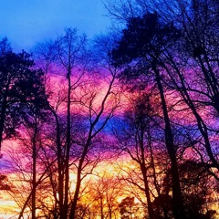 in my head (feat.1800caleb)