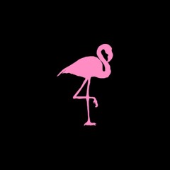 Flamingos