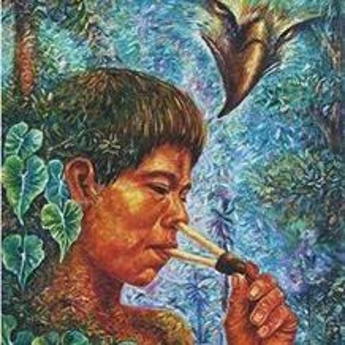 rapé nova