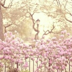 เข้ากันดี (Original by Scrubb)