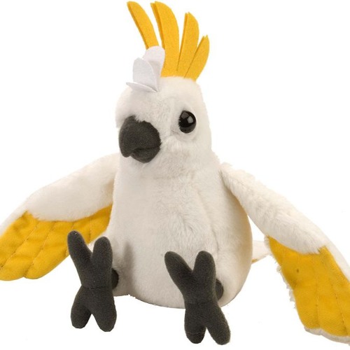 Stream Cockatoo by Transit Listen online for free on SoundCloud