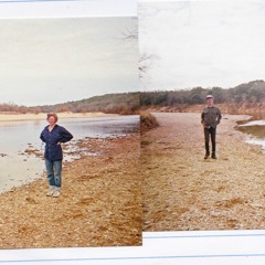 In Spite of Ourselves (John Prine & Iris Dement cover)