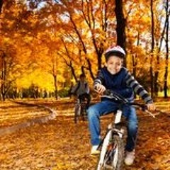 Lando-RIDING IN THE 5