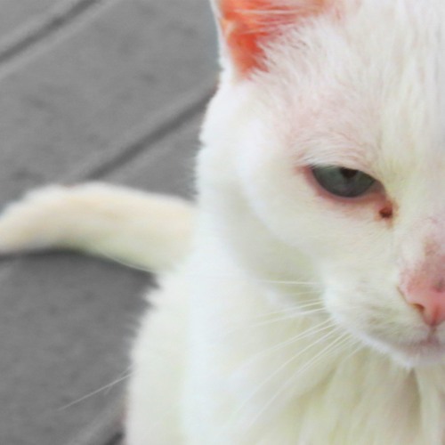 Eu Queria Falar Com Você