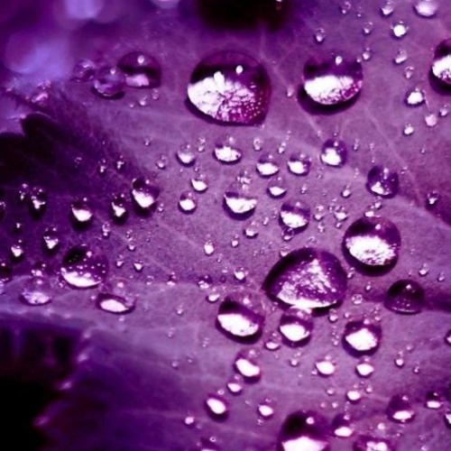 خذها تحدي - فيصل بن حمد 2017