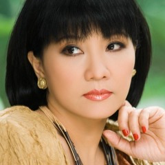 Ta Đã Thấy Gì Trong Đêm Nay