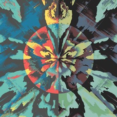Tiny Mirrors (Tosh Meston)