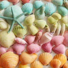 Pink Shell - MOTHER 3