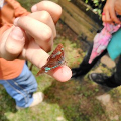 AstroMental - 03. Rondo Capriccioso