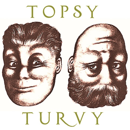 'TOPSY-TURVY' from forthcoming album 'Flightless Bird' 2019