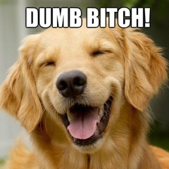 Bitchlude (Prod. by hycu)