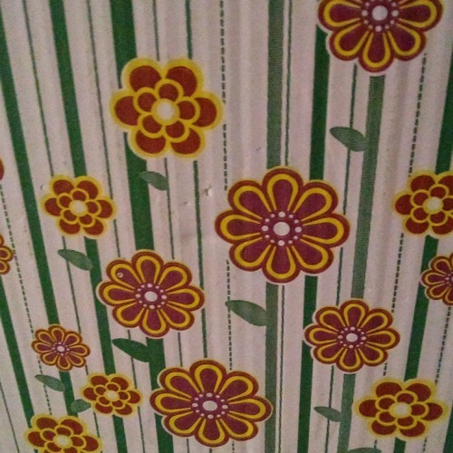 Nothing but flowers Talking Heads