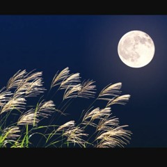 どこにでもありそうな日本風の曲を作ってみた