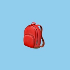 WANT THE BAG