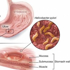 ходоодны шархны тухайд