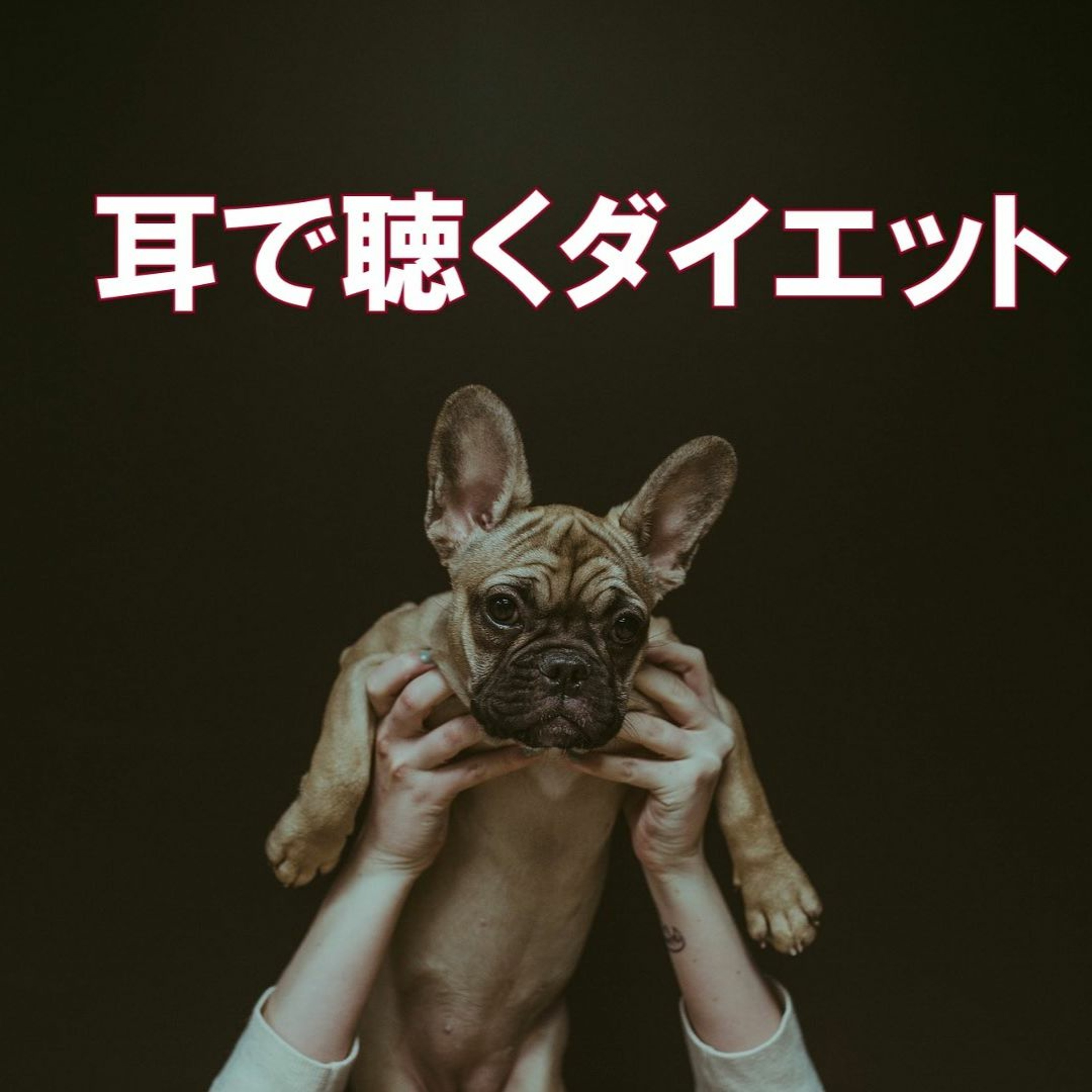 第6回 あなたの食欲は頭から?体から?