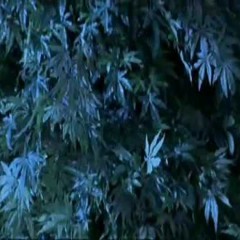 2400 ft. CTHECLOUTGOD (prod. Fatigue)