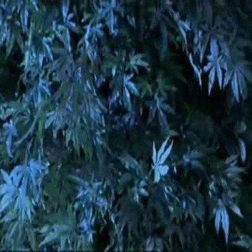 2400 ft. CTHECLOUTGOD (prod. Fatigue)