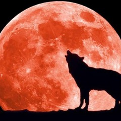 Super Blue Blood Moon