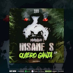INSANE S PRESENTS NEW EP QUIERO GANJA / TOXIC SICKNESS GUEST MIX / FEBRUARY / 2018