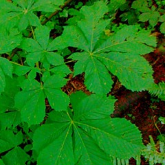 ___new___sets to check out