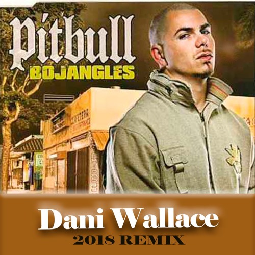 Pitbull - Bojangles (Dani Wallace 2018 Remix)