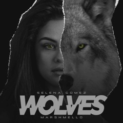 Wolves - Selena Gomez x Mashmello (Mouse T Remix)
