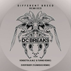 DC Breaks & Flowidus - Everybody (Flowidus Remix) [DUB]