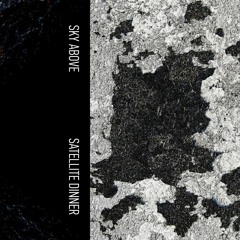 Voices From The Ceiling