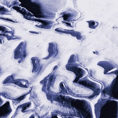 :: Shelf II ::