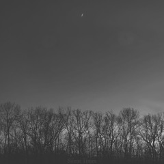 Vessels (feat. Ivory Rasmus)