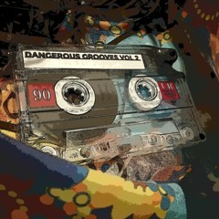 # Dangerous Grooves Vol.2 - Freaky Edition # mixed by Funk2Mars