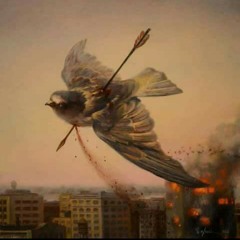 مالى كده محمد المجذوب