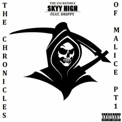 The Chronicles Of Malice Pt. 1 (feat. Drippy)
