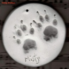 Leaves (willfox125 remix)